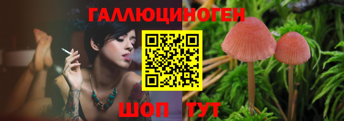 Галлюциногенные грибы Magic Shrooms Набережные Челны
